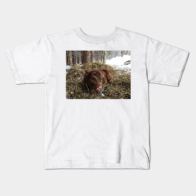 Scottish Highland Cattle Calf 1723 Kids T-Shirt by SaarelaHighland